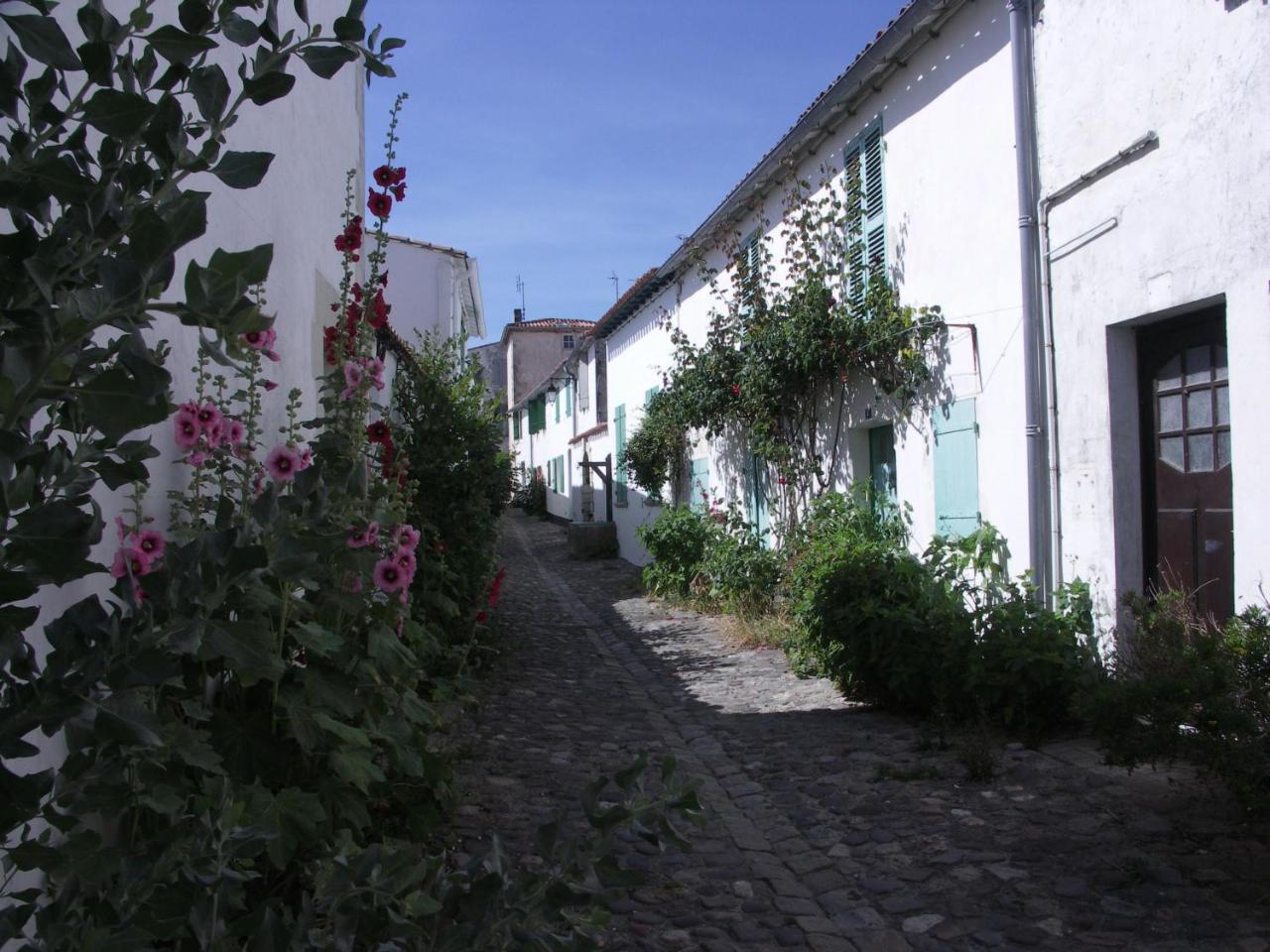 Maison Antioche Saint-Martin-de-Ré Exteriör bild